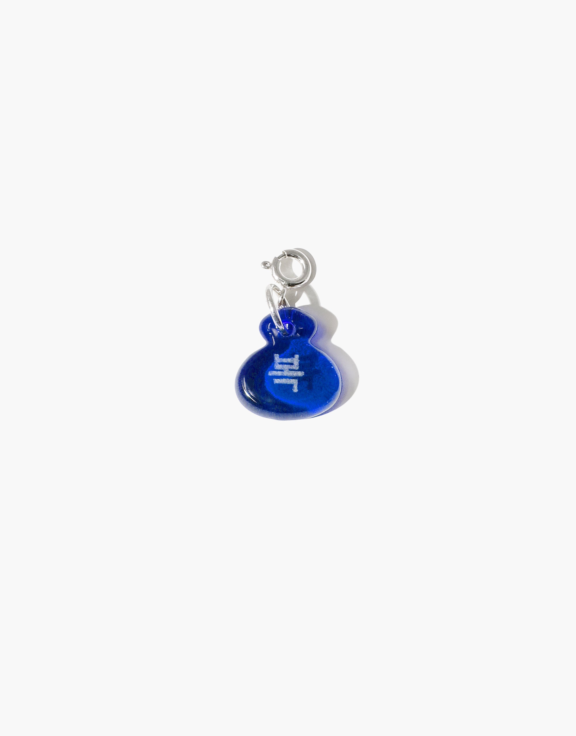Big Blue LV Charm Set Charms Trimmed in Silver-Comes With 10 Charms